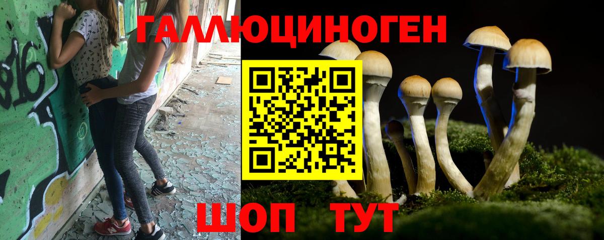Псилоцибиновые грибы Magic Shrooms  Вход с VPN  продажа наркотиков  Нальчик 